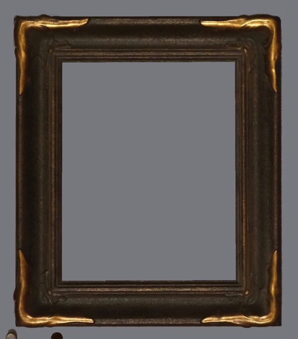 A picture frame with gold trim and black background.